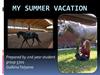 My summer vacation