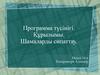 Программа түсінігі. Құрылымы. Шамаларды сипаттау