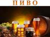 Пиво. Изготовление пива