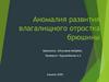 Аномалия развития влагалищного отростка брюшины
