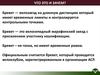 Бревет — велозаезд на длинную дистанцию. Что это и зачем?