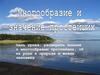 Многообразие простейших, их роль в природе и жизни человека