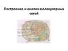 Построение и анализ молекулярных сетей. Лекция 4