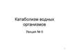 Катаболизм водных организмов. Лекция № 6