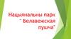 Нацыянальны парк Белавежская пушча