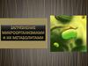 Загрязнение микроорганизмами и их метаболитами