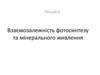 Взаємозалежність фотосинтезу та мінерального живлення