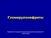 Гломерулонефриты. Пусковые механизмы развития гломерулонефрита