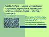 Основы цитологии