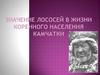 Значение лососей в жизни коренного населения Камчатки