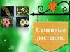 Семенные растения