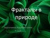 Фракталы в природе