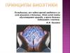 Принципы биоэтики