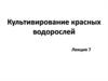 Культивирование красных водорослей