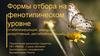 Формы отбора на фенотипическом уровне (стабилизирующий, движущий, дизруптивный, дестабилизирующий)