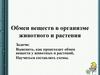 Обмен веществ в организме животного и растения
