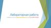 Лабораторная работа
