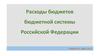 Расходы бюджетов бюджетной системы Российской Федерации