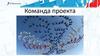 Команда проекта