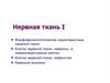 Нервная ткань. Гистология нервной системы