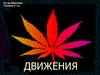 Понятие движения