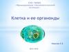 Клетка и ее органоиды
