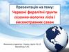 Червоні фералітні грунти сезонно-вологих лісів і високотравних саван