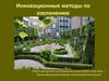 Инновационные методы по озеленению