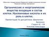 Органические и неорганические вещества