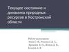 Текущее состояние и динамика природных ресурсов в Костромской области