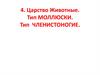 Царство животные. Тип моллюски. Тип членистоногие