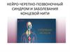 Нейро-черепно-позвоночный синдром и заболевания концевой нити