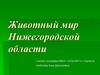 Животный мир Нижегородской области