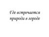 Природа в городе. Угадай растения