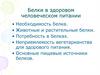 Белки в питании человека