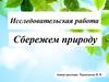 Исследовательская работа. Сбережем природу