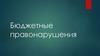 Бюджетные правонарушения