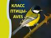 Класс Птицы