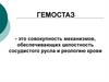 Гемостаз. Основные компоненты системы гемостаза