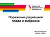 Поражение радиацией плода и эмбриона