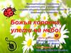 Биологические особенности божьей коровки