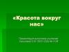 Красота вокруг нас