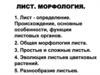 Лист. Морфология