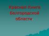 Красная Книга Белгородской области. Редкие птицы Белгородской области