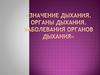 Значение дыхания. Органы дыхания. Заболевания органов дыхания