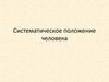Систематическое положение человека (8)