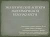 Экологические аспекты экономической безопасности