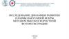 Исследование динамики развития плазмы вакуумной искры методом высокоскоростной фоторегистрации