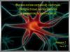 Физиология нервной системы. Возрастные особенности и развитие в онтогенезе. Лекция 2. Часть 2
