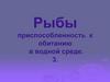 Рыбы. Приспособленность к обитанию в водной среде. 3